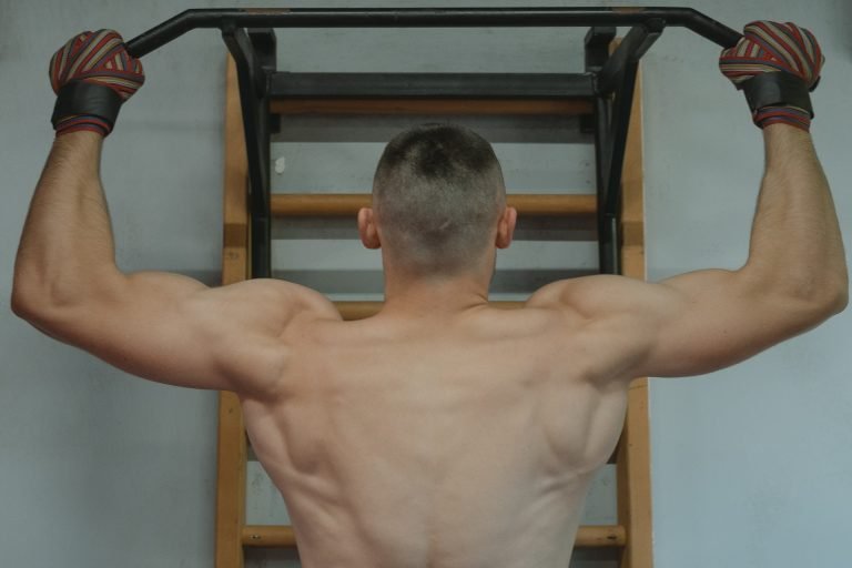 Ultimate Back and Bicep Workout