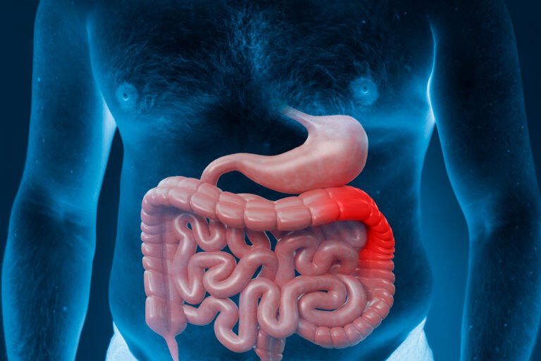 Digestive System: Understanding Its Intricacies and Importance