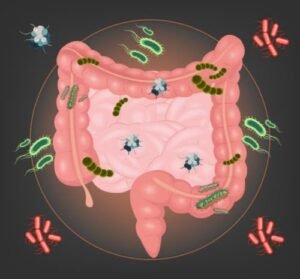 Gastrointestinal (GI) tract infections